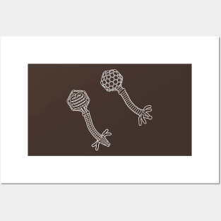 Lambda Bacteriophage White Line Drawing Posters and Art